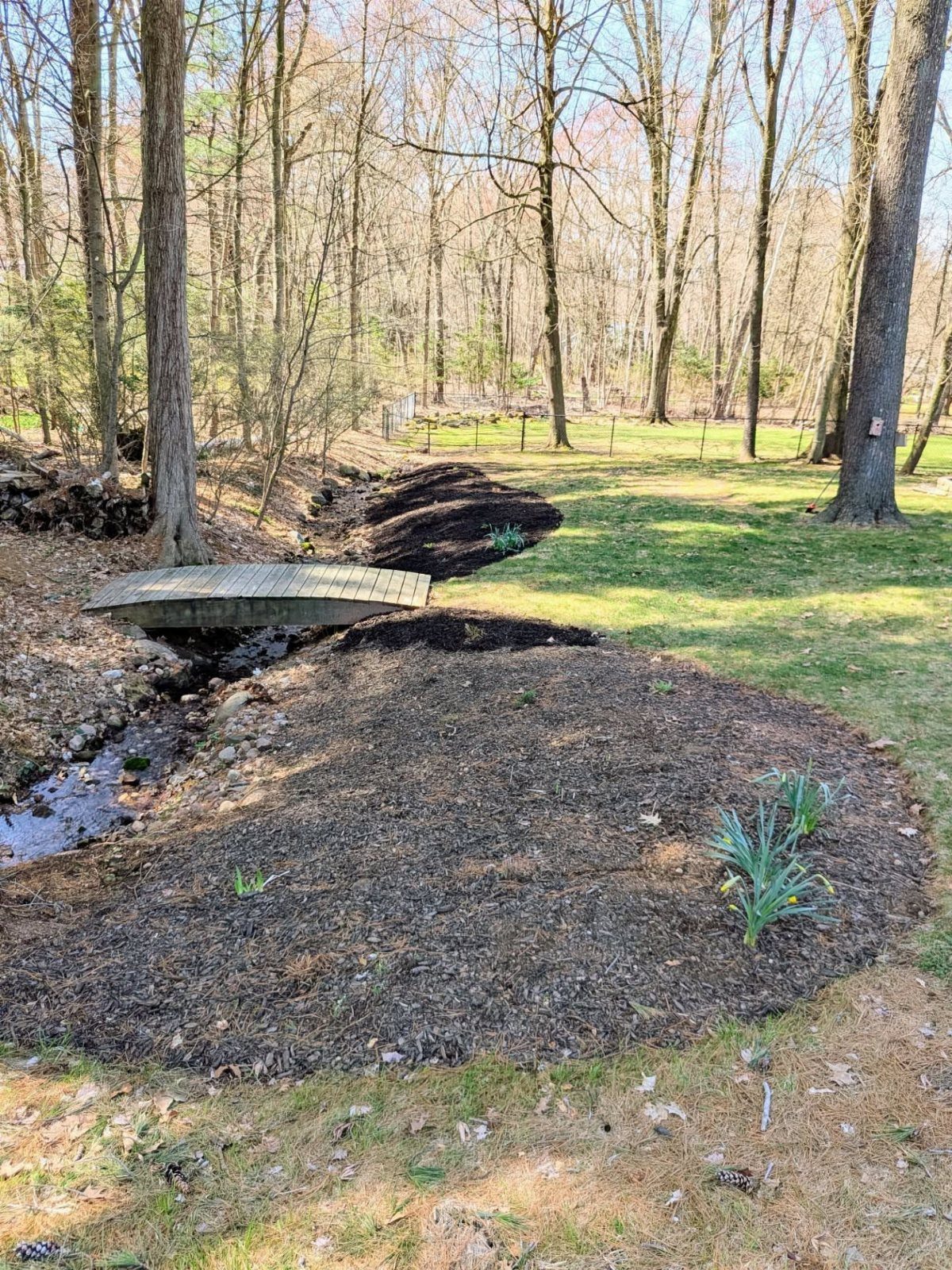 11 Backyard Ideas to Turn Your Outdoor Space Into a Place You Use 10 A small wooden footbridge spanning a stream surrounded by mulch beds and tall trees.
